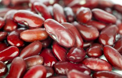 red beans-34a4bec696b8e4082e30ca0f4d8ce294.jpg